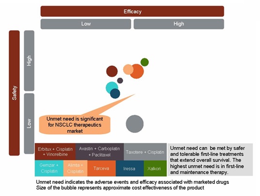 Opportunity and Unmet Need in NSCLC Therapeutic Market관련 그래프